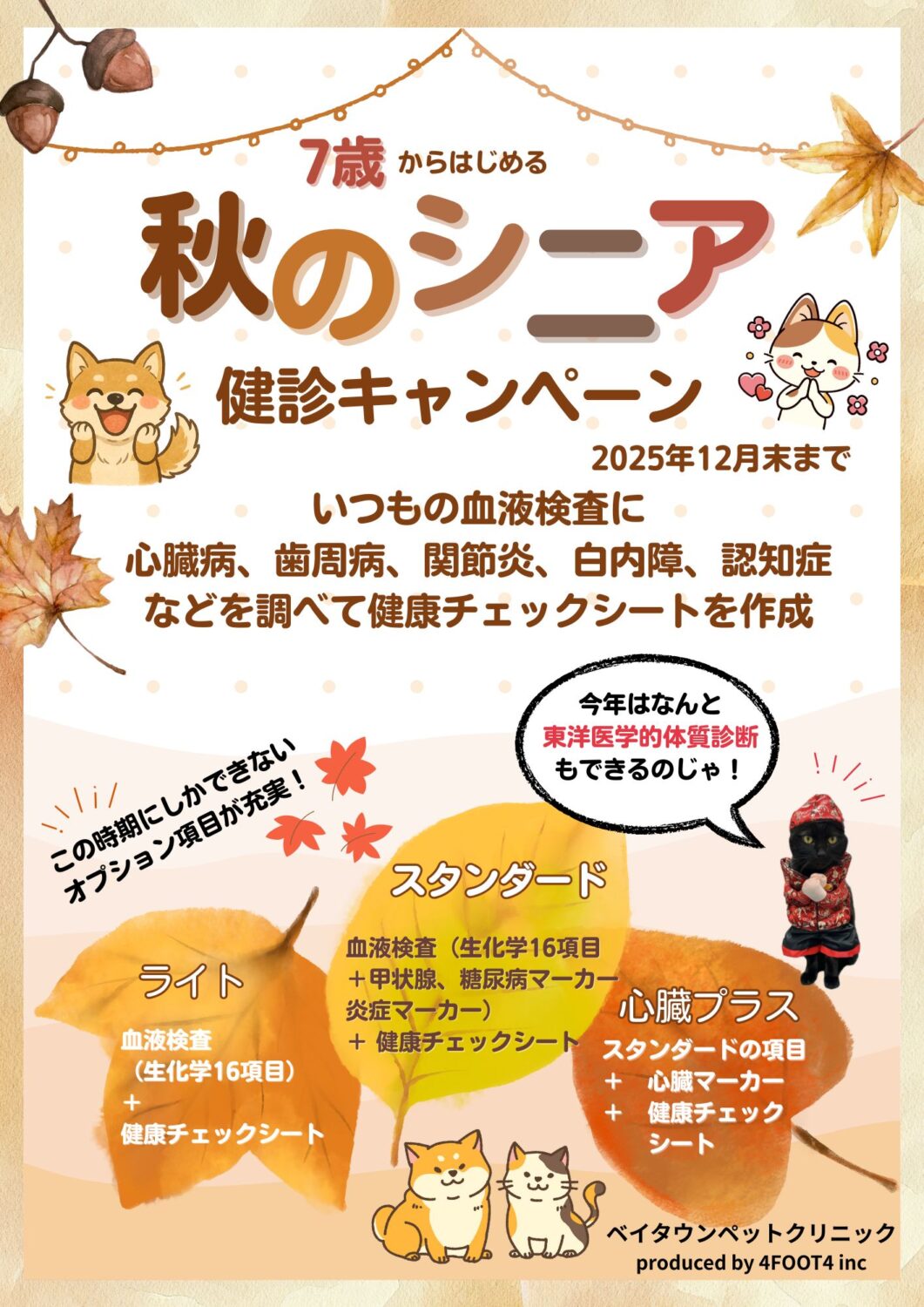 秋のシニア健診キャンペーン