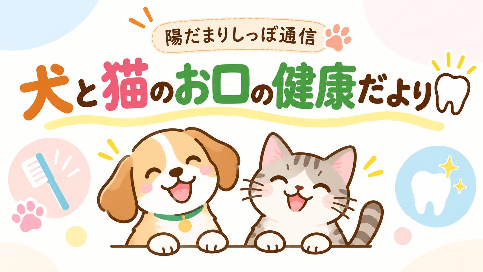 犬と猫のお口の健康だより